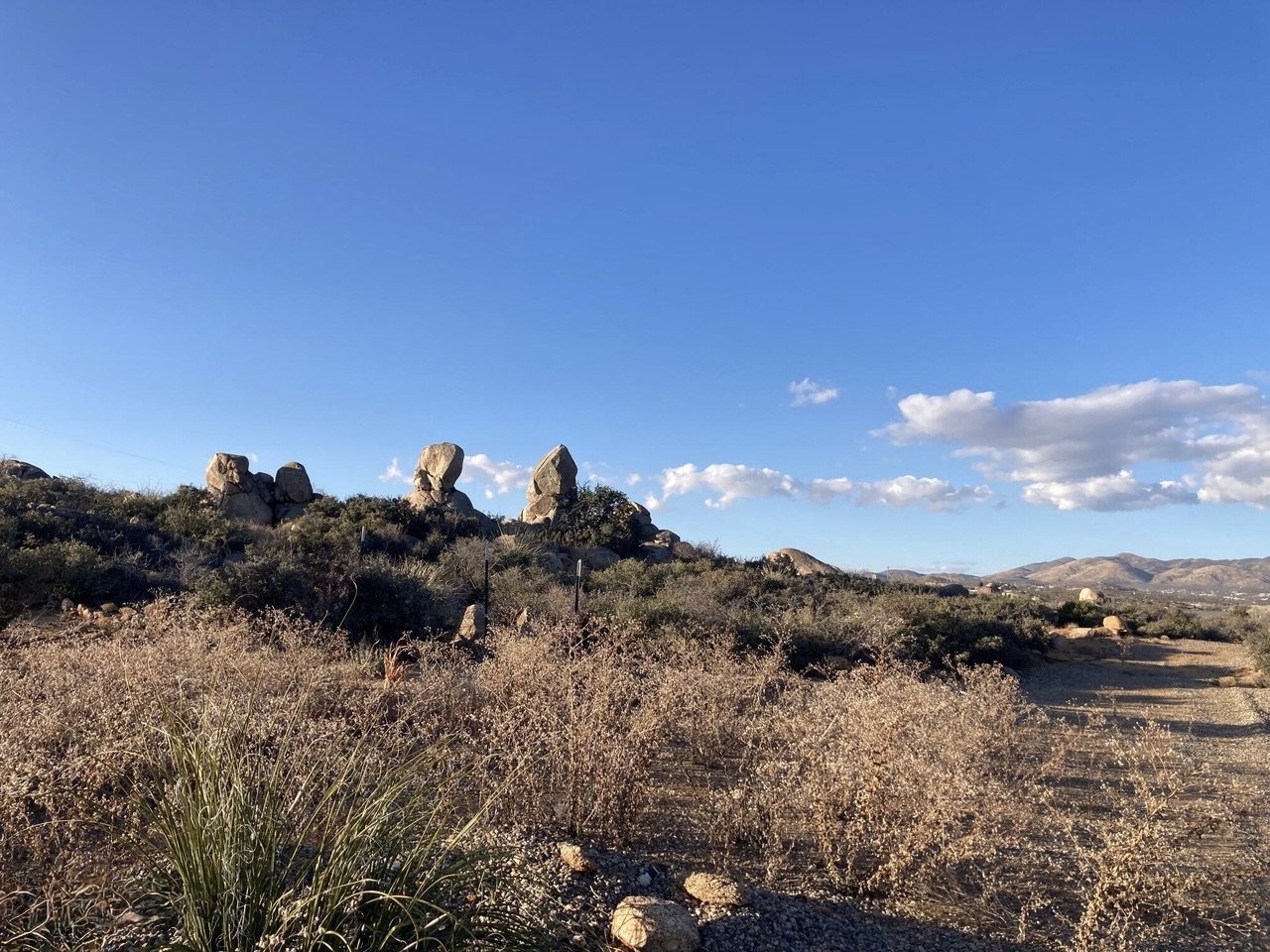 Arizona Land for Sale