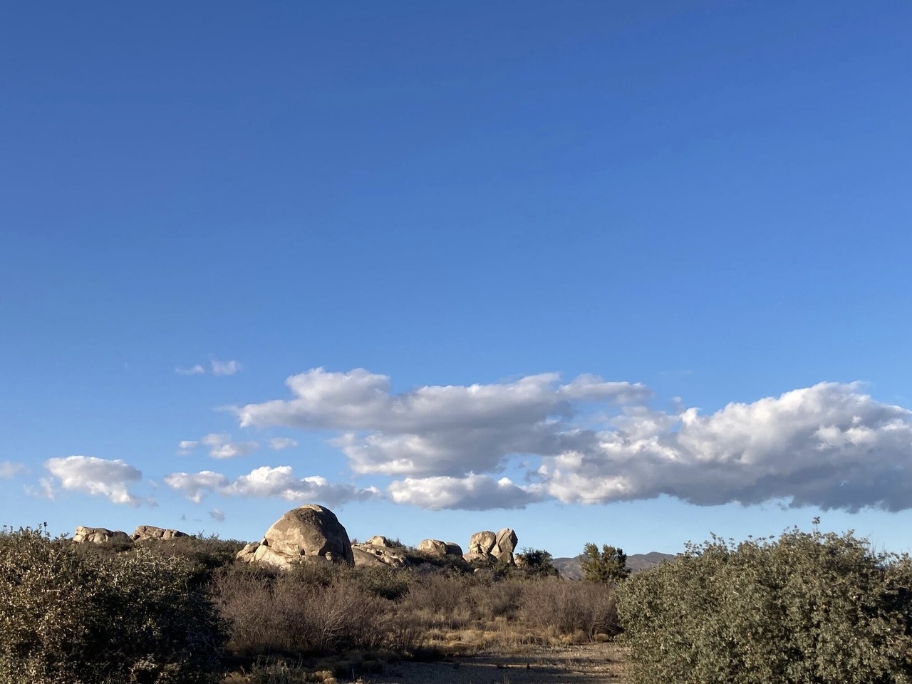 Arizona Land for Sale