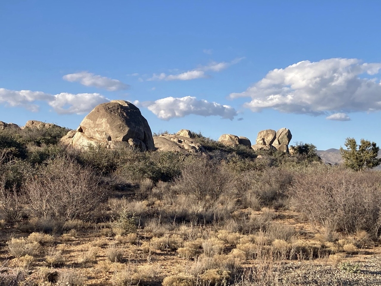 Arizona Land for Sale