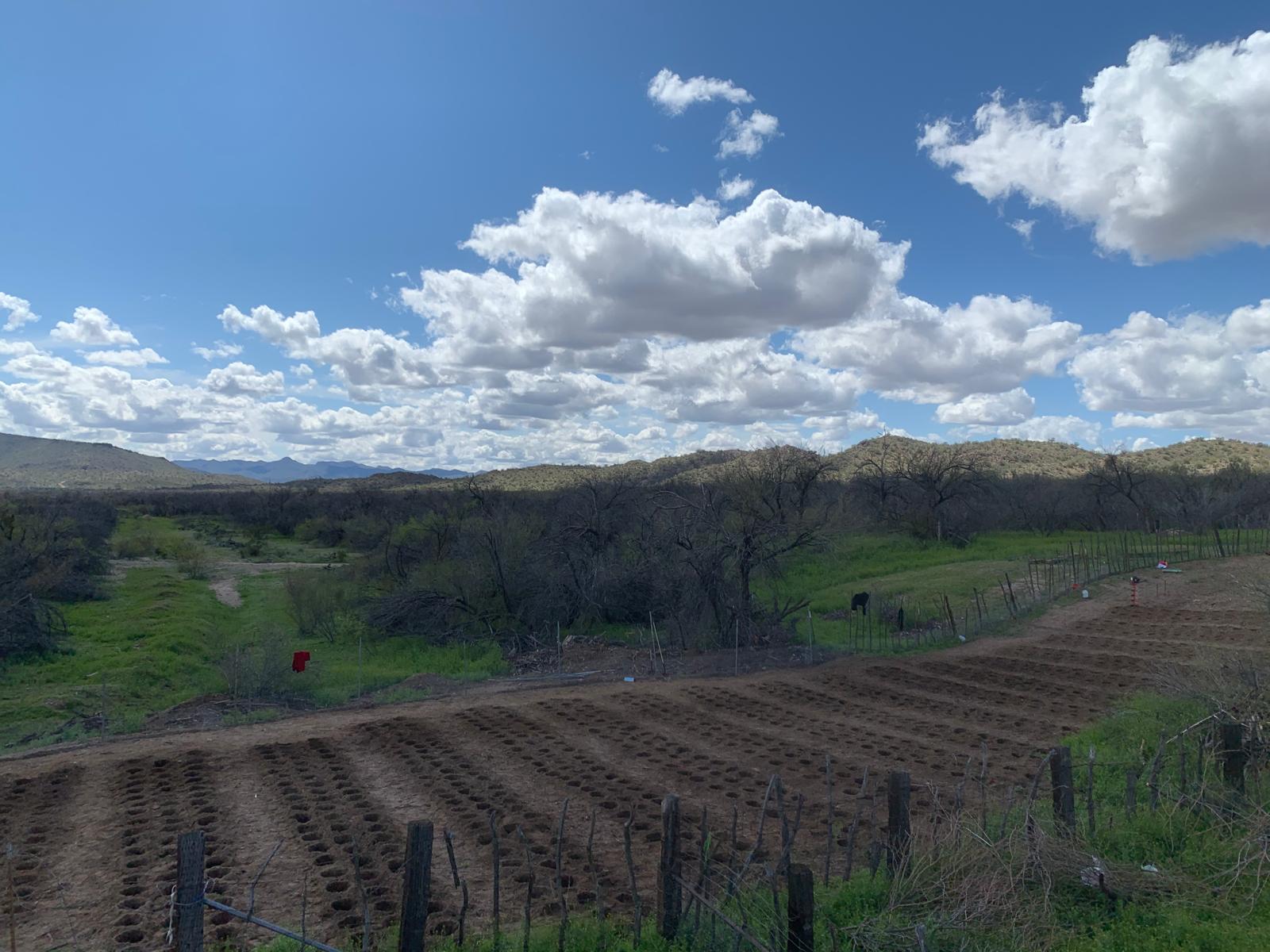 BIg Sandy Ranch Mojave Arizona