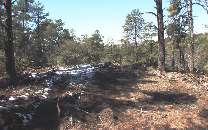 Prescott Land for Sale in the Pines
