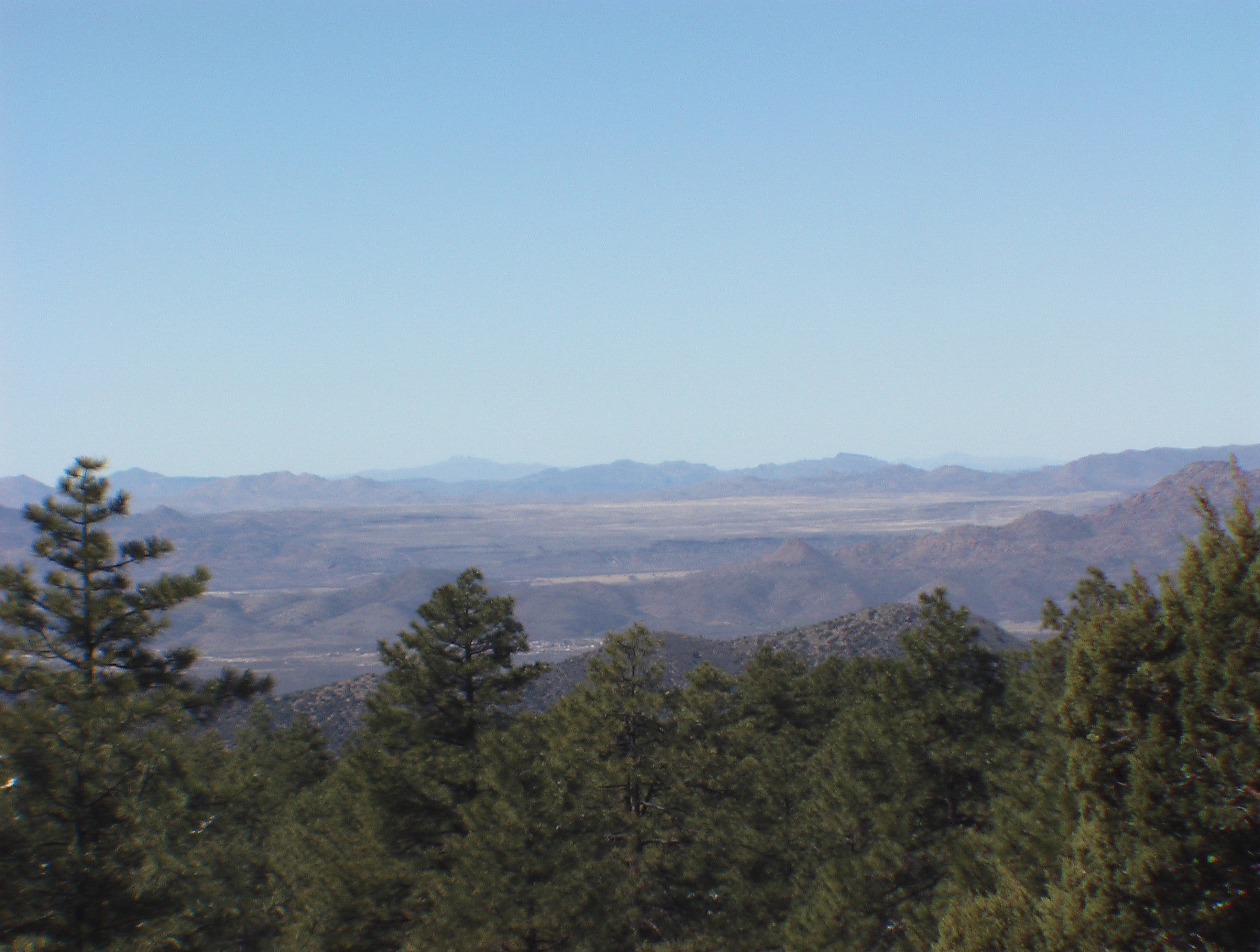 Prescott Land for Sale in the Pines
