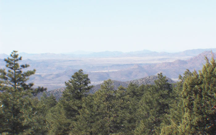 Prescott Land for Sale in the Pines
